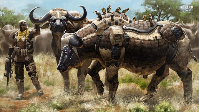 你的老师长什么样？